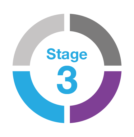Stage 3 Info